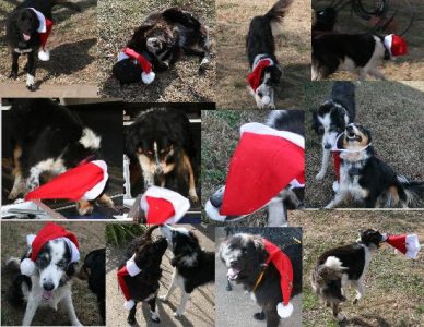 Merry Christmas from the Hooligans (Oh, and Mary) Image